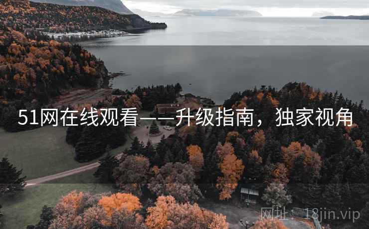 51网在线观看——升级指南，独家视角