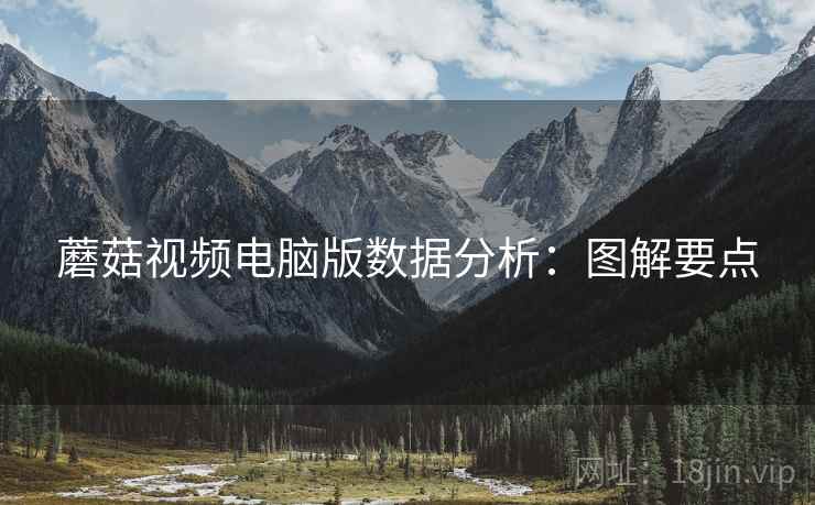 蘑菇视频电脑版数据分析：图解要点