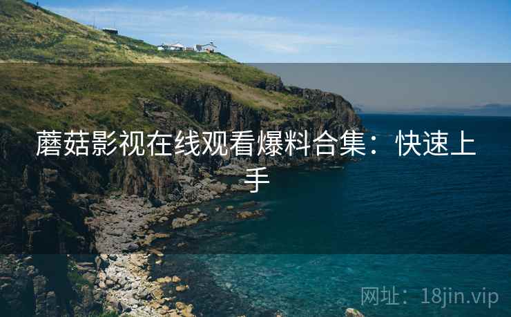 蘑菇影视在线观看爆料合集：快速上手