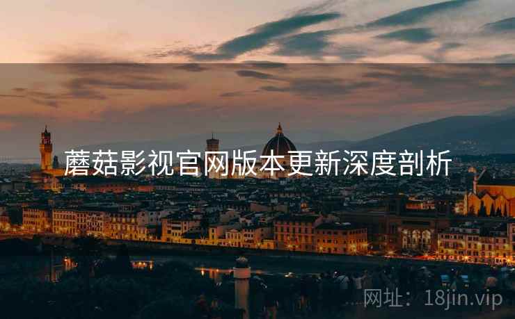 蘑菇影视官网版本更新深度剖析