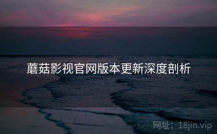 蘑菇影视官网版本更新深度剖析