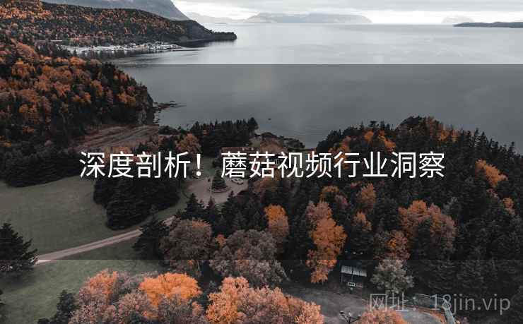 深度剖析！蘑菇视频行业洞察