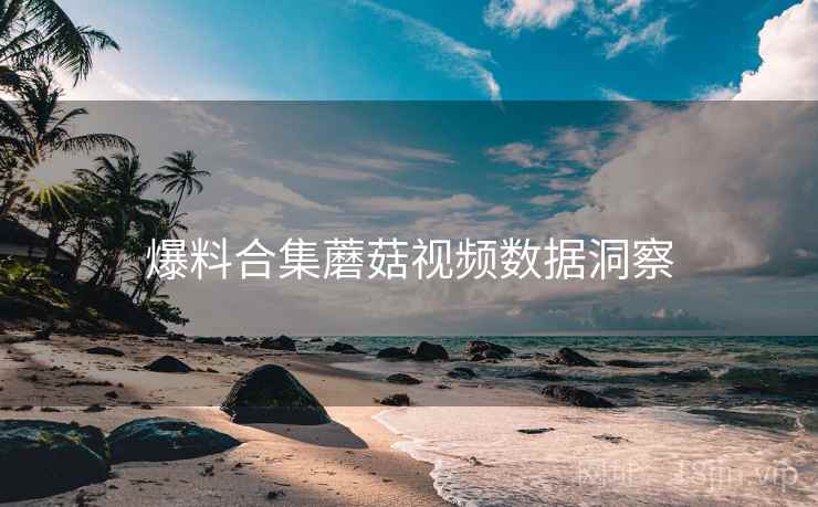 爆料合集蘑菇视频数据洞察