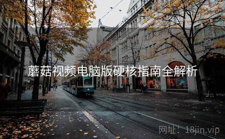 蘑菇视频电脑版硬核指南全解析