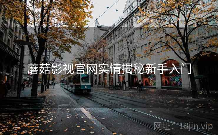 蘑菇影视官网实情揭秘新手入门