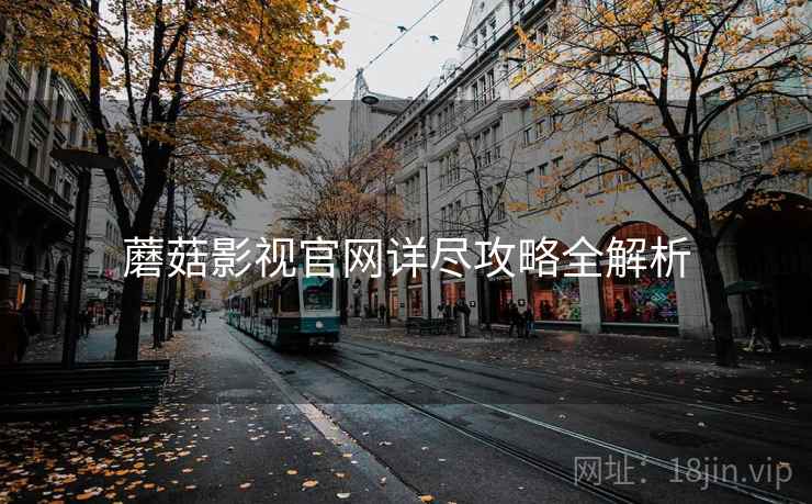 蘑菇影视官网详尽攻略全解析