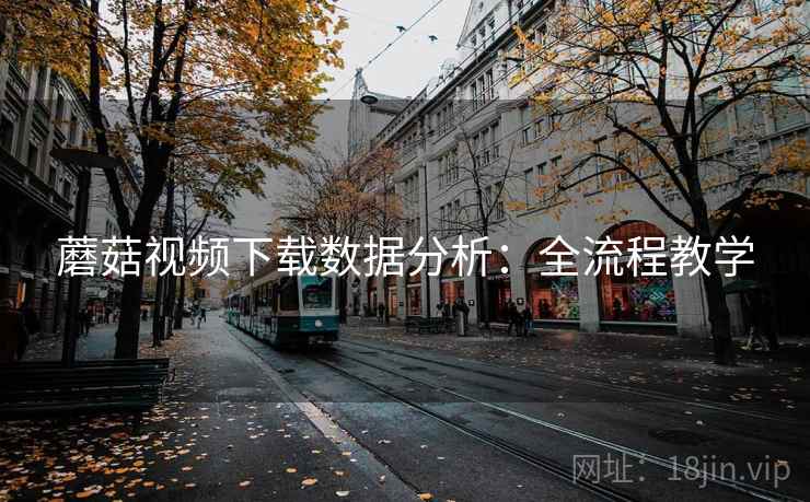 蘑菇视频下载数据分析：全流程教学