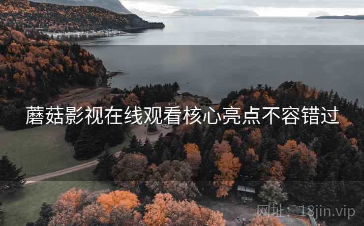 蘑菇影视在线观看核心亮点不容错过